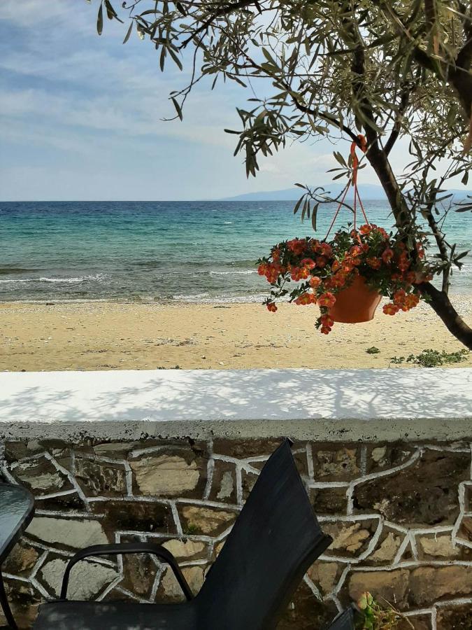 House Kokkalas On The Beach Пиргадикия Экстерьер фото